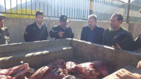 دستگیری متخلفین شکار غیر مجاز گراز در سپید دشت