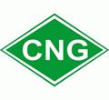 ۹۸ درصد جایگاه‌های CNG استان استانداردسازی شده است