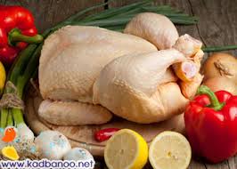 لزوم افزایش تولید و ثبات قیمت گوشت مرغ در استان/ در خردادماه ۵۰۰ هزار قطعه جوجه ریزی انجام شده است