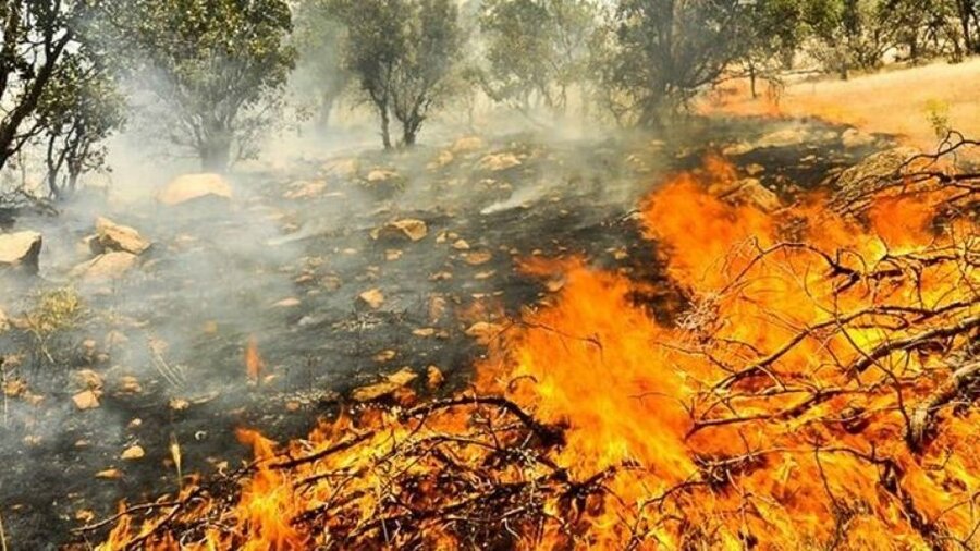 عوامل آتش‌سوزی گسترده در منابع ملی چگنی و ازنا شناسایی شدند