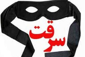 دستگیری ۱۴ سارق و کشف ۲۹ فقره سرقت در خرم آباد