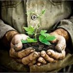 روز جهانی خاک، ۱۴ آذر به صورت آنلاین در سراسر کشور برگزار می‌شود