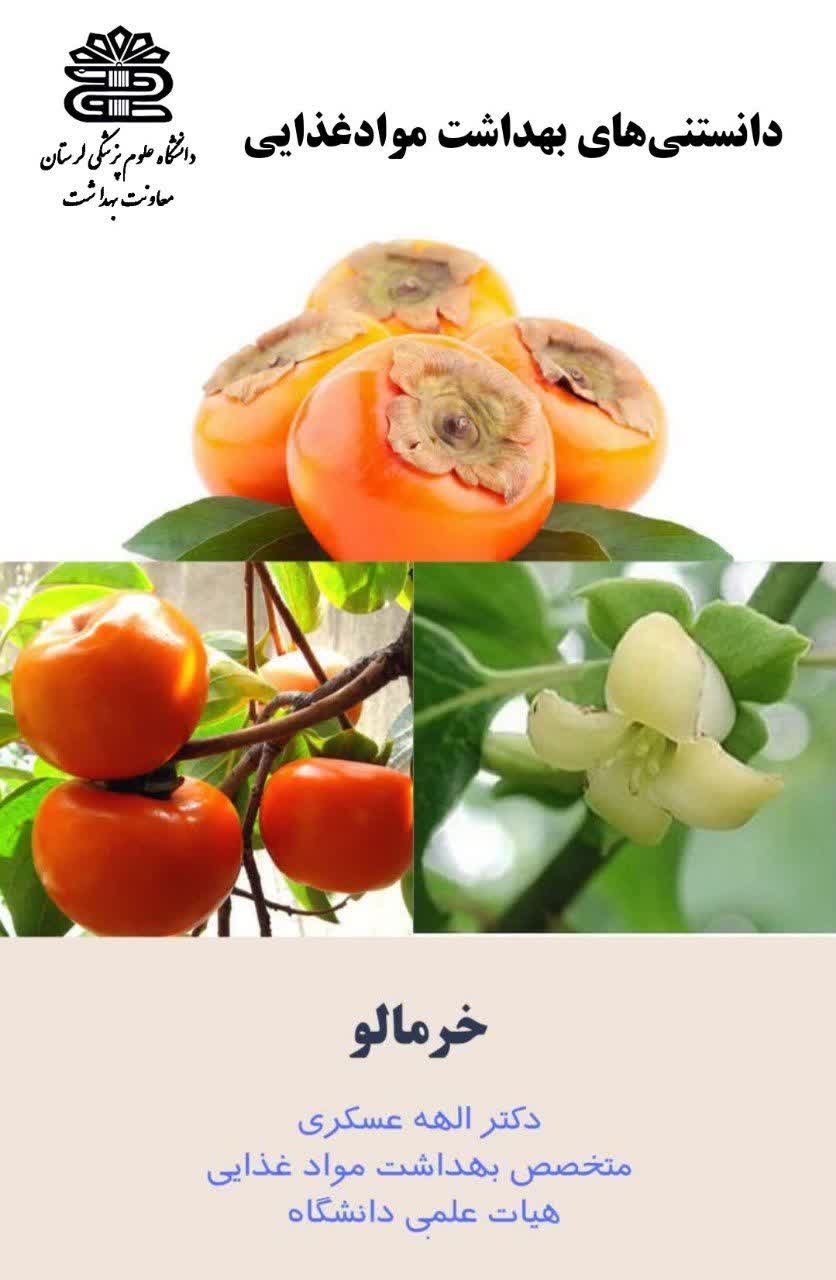 دانستنی‌های بهداشت مواد غذایی؛ خواص خرمالو