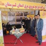 ارائه آخرین دستاورهای پژوهشی شرکت توزیع برق استان لرستان