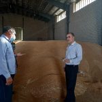 تاکنون بیش از ۴۲ هزار تن گندم از کشاورزان لرستانی خریداری شده است