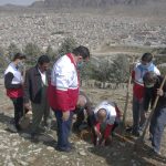 کاشت بیش از یک هزار نهال و بذر بلوط در خرم آباد