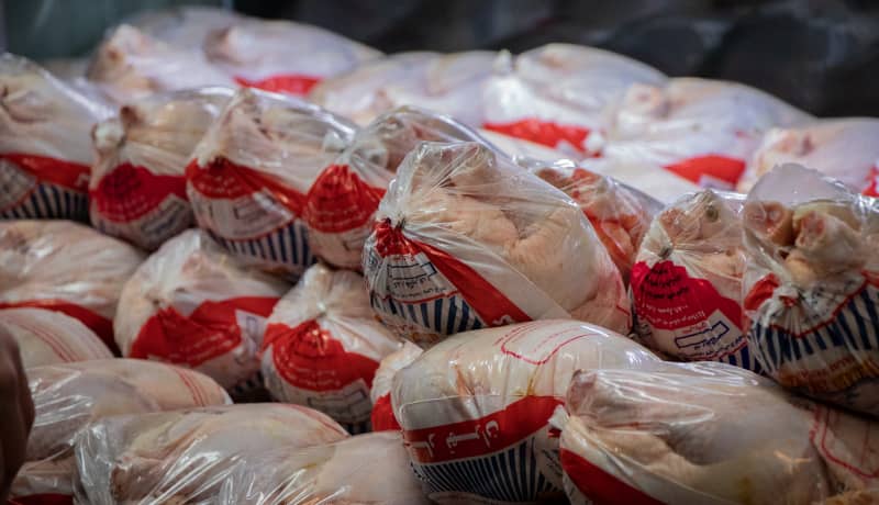 روزانه ۱۵ تن مرغ منجمد در حال توزیع است/ مردم به اندازه نیاز خود خرید کنند
