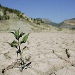 خسارت ٣ هزار و ٣٠٠ میلیارد تومانی خشکسالی به بخش کشاورزی لرستان