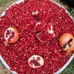 جشنواره انار تنگه سیاب کوهدشت ۲۵ آبان برگزار می‌شود
