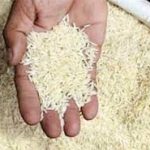 کشف ۳۰۰ تن برنج در دورود/ مخلوط برنج ایرانی و خارجی به نام برنج ایرانی !