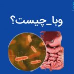 موردی از وبا در شهرستان خرم آباد گزارش نشده است