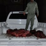 دستگیری شکارچیان گراز وحشی در لرستان