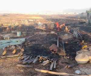 عوامل آتش‌سوزی در مزارع کشاورزی خرم‌آباد به دستگاه قضایی معرفی شدند