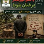 جریمه میلیاردی و حبس برای تخریبگر طبیعت