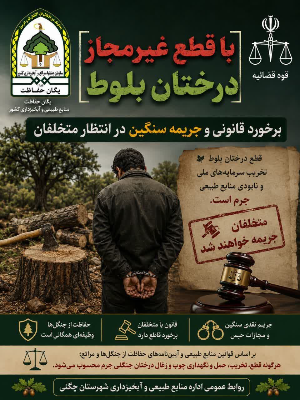 جریمه میلیاردی و حبس برای تخریبگر طبیعت