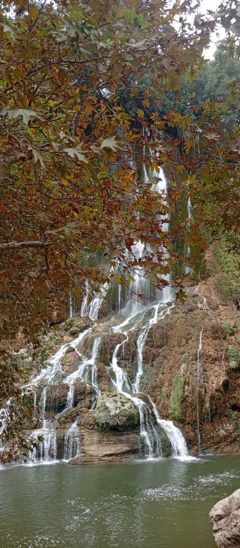 طبیعت زیبای بیشه در یک روز پاییزی